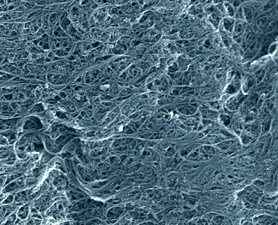 Scanning electron microscope image of a typical sample of the NIST single-wall carbon nanotube soot standard reference material.