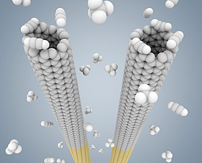 computer model of nanotubes