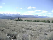 A view of a mountain range with sagebrush prairies in the foreground. 