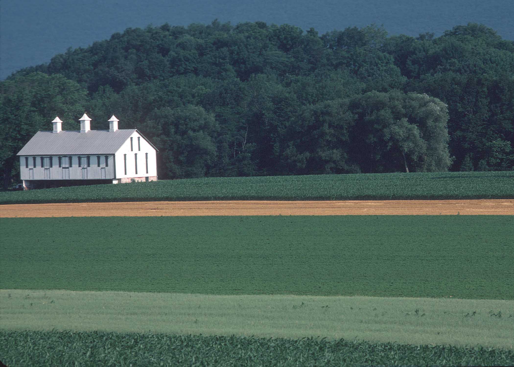 Pennsylvania Farm