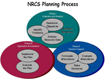 Venn diagram showing the three phases of conservation planning