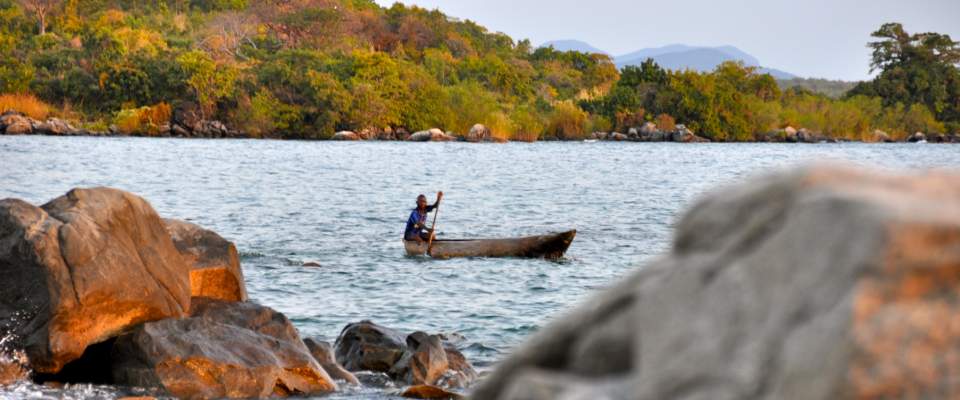 USAID protects the habitat of Lake Niassa, the most biodiverse freshwater lake on earth.