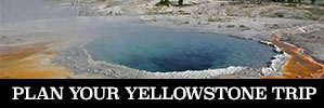 Plan your trip to Yellowstone