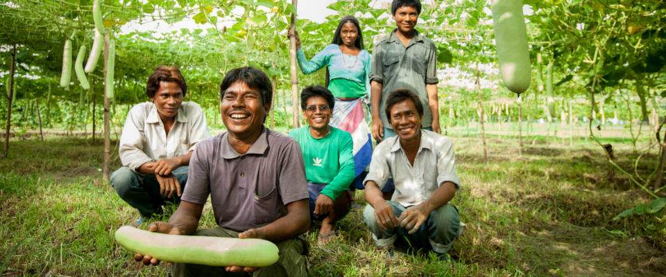 Image of six Nepali farmers sitting/standing among rows of squash plants. 