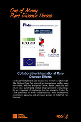 International Collaborative Efforts