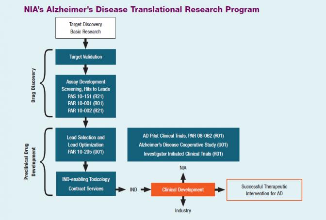  AD Pilot Clinical Trials, PAR 08-062 (R01); Alzheimer’s Desease Cooperative Study (U01); Investigator Initiated Clinical Trials (R01).