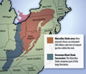 Map of U.S. East Coast showing the Marcellus shale and Devonian black shale succession.