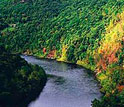 Image of a river flowing through forest underlain by the Marcellus Shale Formation.