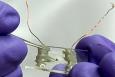 The sensor part of the device is about 2 millimeters in size | Courtesy of LLNL