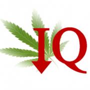 marijuana lowers IQ