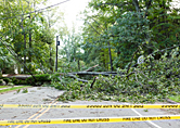 A tree is down in the middle of a street with yellow tape.