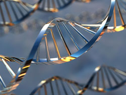Shiny DNA helix.
