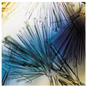 One of the most challenging steps in X-ray crystallography is making proteins form crystals. Credit: Alex McPherson, University of California, Irvine