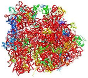 The structure of the ribosome, one of the largest structures determined by X-ray crystallography, is helping scientists to understand the process of protein production. It may also aid efforts to design new antibiotic drugs or optimize existing ones. Credit: RCSB Protein Data Bank, PDB ID: 2WDL, Voorhees RM, Weixlbaumer A, Loakes D, Kelley AC, Ramakrishnan V., Nat Struct Mol Biol. 2009 May;16(5):528-33.
