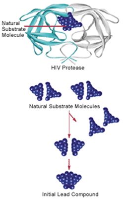 Some anti-HIV drugs were developed using structure-based drug design. Knowing that HIV protease has two symmetrical halves, pharmaceutical researchers initially attempted to block the enzyme with symmetrical small molecules. They made these by chopping in half molecules of the natural substrate, then making a new molecule by fusing together two identical halves of the natural substrate.