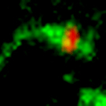 Shiga toxin hitchhikes on a cellular protein to escape destruction by the cell. Courtesy of Somshuvra Mukhopadhyay, Carnegie Mellon University.