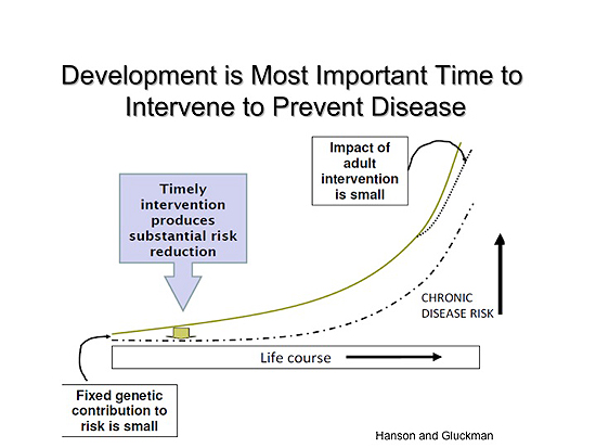 Development is most important time to intervene to prevent disease