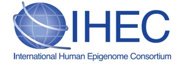 Epigenomes around the world: International Human Epigenome Consortium
