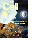 Cell Journal cover