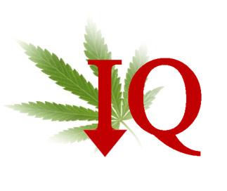 marijuana lowers IQ
