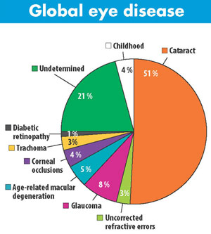 Pie chart of percentages of global eye diseases, full data and follows