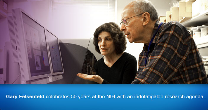 Gary Felsenfeld celebrates 50 years at the NIH with an indefatigable research agenda.