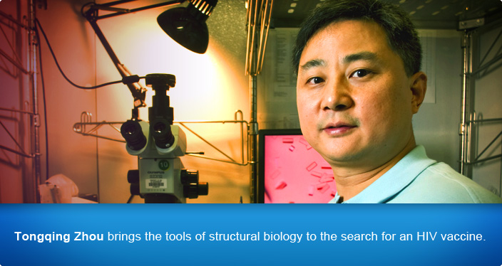 Tongqing Zhou brings the tools of structural biology to the search for an HIV vaccine.