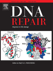 DNA Repair Cover