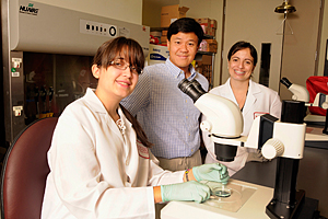 Yasmin Crespo-Mejias, Humphrey Yao, Ph.D., and Karina Rodriguez, Ph.D.