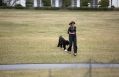 Bo And The First Lady Walk Across The South Lawn