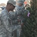 Trees for troops in Kuwait