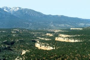 Canyon vista