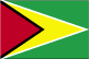 Flag of Guyana is green, with red isosceles triangle superimposed on yellow arrowhead; black border between red and yellow, and white border between yellow and green. 2004.