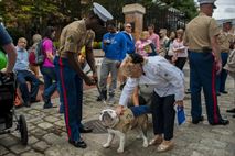 Cpl. Sherwin Charles, dog handler, walks Lance Cpl. Chesty XIV, official Marine Corps mascot, down 8th St. during the Barracks Row Fall Festival on 8th St. SE, Washington, D.C., Sept. 28.