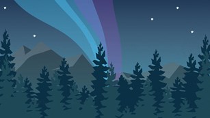 Illustration of the northern lights over a forest at night