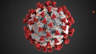 Detailed illustration of the coronavirus structure