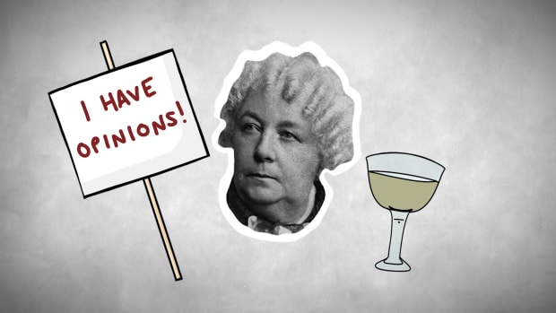Learn about the movement for women's equality that precipitated the Seneca Falls Convention in 1848, and what its attendees - including Elizabeth Cady Stanton and Lucretia Mott - hoped to achieve.
