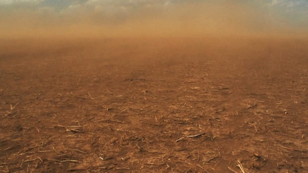 Erosion is a serious concern during drought conditions, as precious topsoil is blown away by winds due to the lack of stabilizing foliage. Kansas. — Image by © Jim Reed/Science Faction/Corbis
