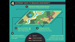 Britannica Infographic Explainer: Biodiversity