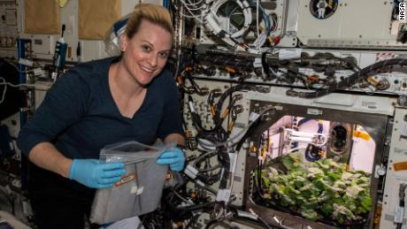 On Nov. 27, 2020, NASA astronaut and Expedition 64 Flight Engineer Kate Rubins checks out radish plants growing for the Plant Habitat-02 experiment that seeks to optimize plant growth in the unique environment of space and evaluate nutrition and taste of the plants.