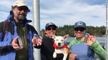 It&#39;s mission accomplished for Eba the Whale Dog, who tracks the scat of critically endangered orcas in Washington&#39;s Puget Sound with research scientists (from left) Samuel Wasser, Deborah Giles and Sadie Youngstrom.