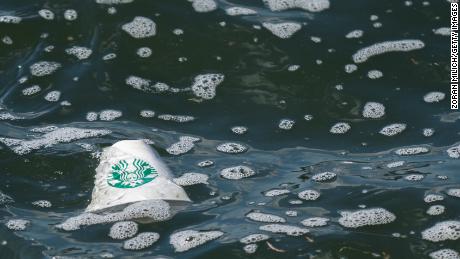 Garbage and rubbish on the surface of New York&#39;s East River. New York, New York, USA. A Starbucks paper coffee cup floats on the surface of the East River. 