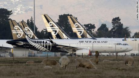 Air New Zealand planes sit parked on the tarmac as sheep graze in a nearby field at Christchurch Airport in Christchurch, New Zealand, Wednesday, May 20, 2020.In a statement Wednesday May 20, 2020, Air New Zealand said it had been forced to undergo a significant program of cost reductions as a result of the financial damage caused by Covid-19 and has taken the step of reducing their workforce by 3500 roles. (AP Photo/Mark Baker)