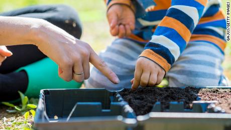 Small boy helping his mother do the planting of spring seeds with a closeup view on their hands over a tray of soil outdoors on the lawn in the garden.